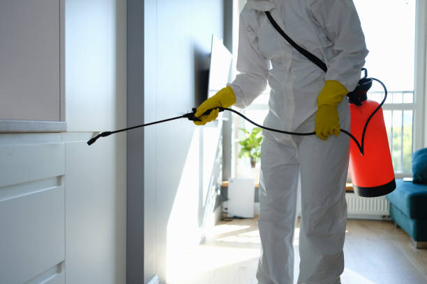 Trusted Heber Springs, AR Mold Remediation Experts